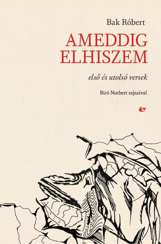 Ameddig elhiszem borító